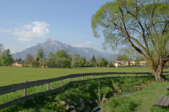 Gartenmaisonette Pure Pleasure