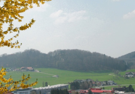 Hallwang near Salzburg