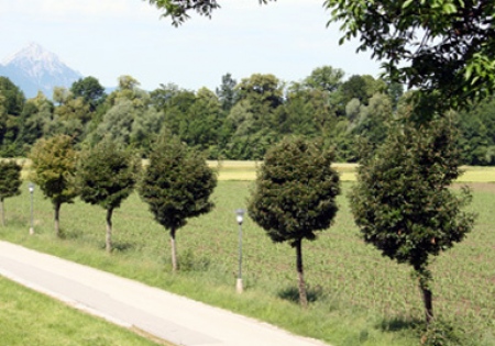 Salzburg-Herrnau