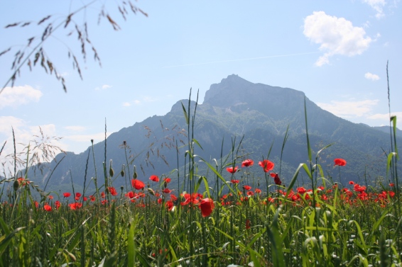 Anif bei Salzburg