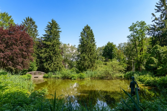 Terrassenwohnung Altstadtliebe