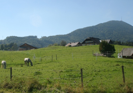 Koppl near Salzburg