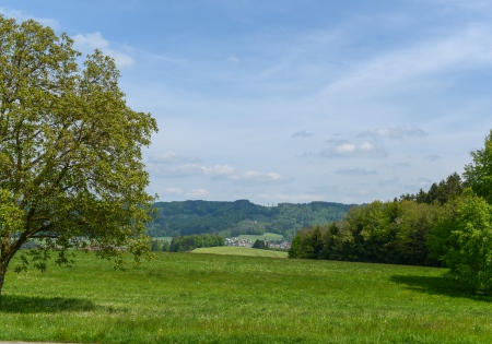 Göming near Oberndorf
