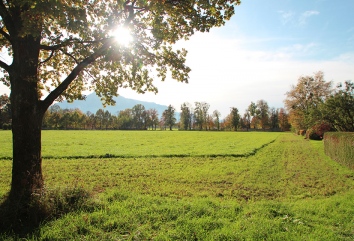 Stadtgrundstück Königsklasse