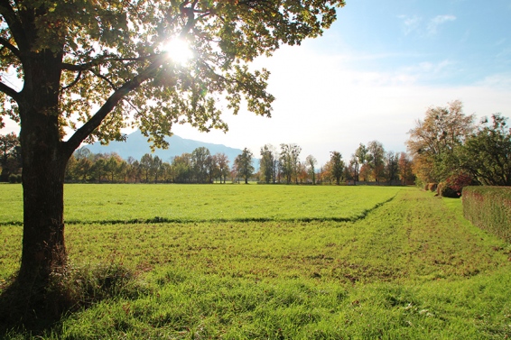 Stadtgrundstück Königsklasse